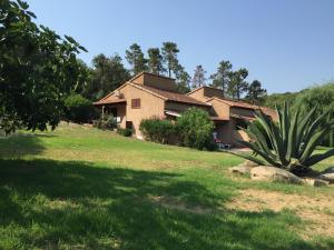 una casa con una grande pianta davanti di Lavu Santu a Sainte-Lucie de Porto-Vecchio Altre 37 foto