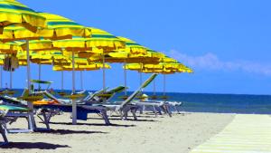 a row of chairs and umbrellas on a beach at Hotel Tritone Rimini in Rimini