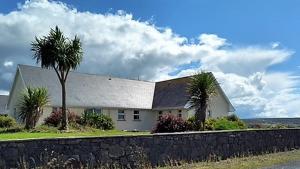 ein Haus mit zwei Palmen davor in der Unterkunft Ceol na dTonnta in Doolin