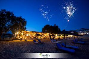 Kép Cactus Beach Paros szállásáról Logarászban a galériában