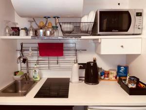 eine Küche mit einer Spüle und einer Mikrowelle in der Unterkunft Casetta San Martino in Neapel