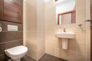 シトゥルブスケー・プレソにあるNo. 39, Apartment House Oliverのトイレと洗面台付きのバスルーム