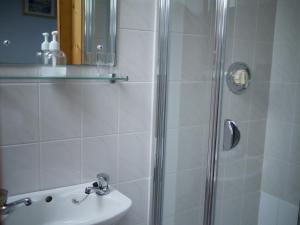 a bathroom with a shower and a sink at The Dingle Pub B&B in Dingle