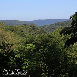 a view of a forest of trees with mountains in the background at Piel de Timbó in Aristóbulo del Valle