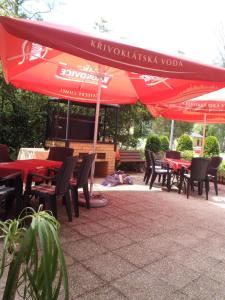 Restauracja lub miejsce do jedzenia w obiekcie Hotel Bazant