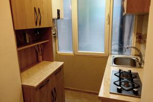 Una pequeña cocina con estufa y fregadero. en Apartment Vorontsov, en Tiflis