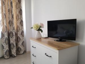 TV a/nebo společenská místnost v ubytování Hotel Dacor + 17 fotografií
