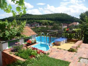 una casa con piscina nel cortile di Pension Crhan a Mikulov