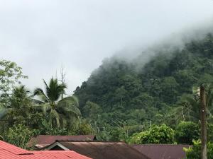 Gallery image of Rumah Tiang 16 in Kampong Ulu Jepai