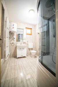 a bathroom with a toilet and a sink at Vila "Volujak" in Tjentište +40 photos