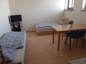 TV a/nebo společenská místnost v ubytování Penzion V Zatáčce