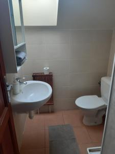 a bathroom with a white sink and a toilet at Penzion V Zatáčce in Pilsen
