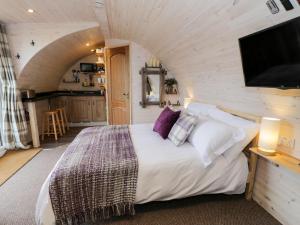a bedroom with a bed and a tv in a room at Gelert Pod in Tremeirchion