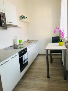 Kuchyňa alebo kuchynka v ubytovaní Panorama Apartments