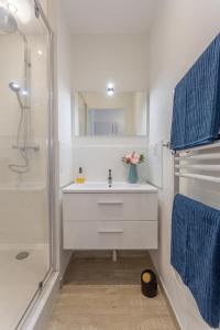 a bathroom with a sink and a shower at Les Cocons Emeraude et Fleuri in Lyon