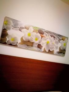 a display of cupcakes with white flowers on them at Teresa's apartments in Santa Domenica
