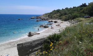 Paesaggio naturale nelle vicinanze della villa
