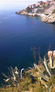 a view of a body of water from a hillside at HappY ApartmenT Dubrovnik centre-free parking in Dubrovnik