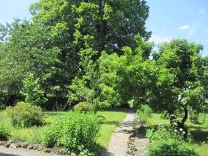 a path through a park with trees and grass at Romantic-Pension Albrecht - Villa next to UNESCO World Heritage - since 1901 in Hohenschwangau