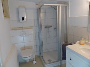 a bathroom with a shower and a toilet and a sink at Ferienwohnungen Homberger Altstadt in Homberg