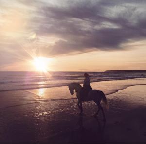 una persona montando un caballo en la playa al atardecer en Villa Buen Retiro, en Zahara de los Atunes