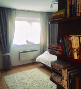 sypialnia z oknem i łóżkiem z dywanem w obiekcie Apartament Swobodna w mieście Sosnowiec