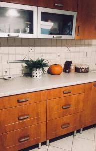 a kitchen counter with a pumpkin sitting on top of it at Apartament Swobodna in Sosnowiec