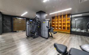 Фитнес-центр и/или тренажеры в Ajax Hotel