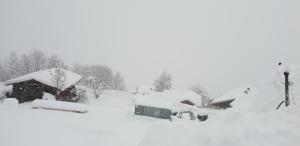 a group of houses covered in snow at Chalet Bergzauber by PiaundDirk in Hippach