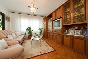 TV a/nebo společenská místnost v ubytování Apartment Patricia