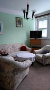 uma sala de estar com um sofá, uma mesa e uma televisão em Byt - apartman em Větřní