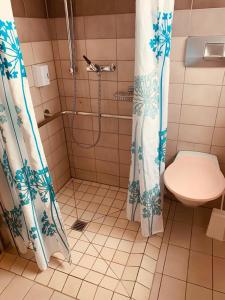 a bathroom with a shower curtain and a toilet at Hotel Lyssach in Lyssach