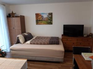 sypialnia z łóżkiem i telewizorem na komodzie w obiekcie Apartment Kendlbacher w mieście Zell am See