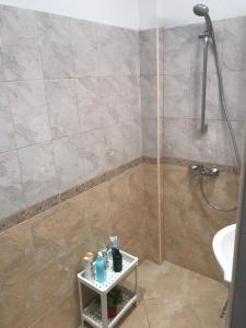 a bathroom with a shower and a sink at Your Space in Sofia in Sofia