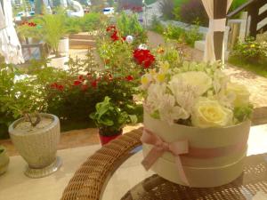 Gallery image of Casa OK by OVO in Vama Veche