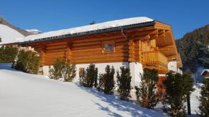 Obiekt Ski-N-Lake Chalet One zimą