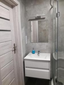 a bathroom with a sink and a mirror and a shower at Apartament Nad Dziwną in Dziwnów