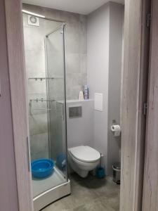 a bathroom with a toilet and a glass shower at Apartament Nad Dziwną in Dziwnów