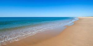 a beach with the ocean and a blue sky at Leo Canela in Isla Canela