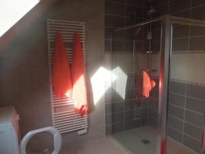 a bathroom with a shower with red towels at chez diane in Barbeville