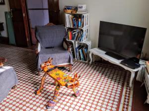 um cão de brinquedo numa sala de estar com uma televisão em El Diablo y la Sandia B&B em Oaxaca City