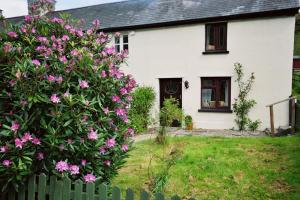 a white house with pink flowers in front of a fence at Deer House in Machynlleth