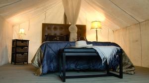 a bedroom with a bed and a lamp at Allen Ranch in Hot Springs