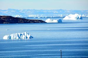 Foto dalla galleria di Nattoralik ad Aasiaat