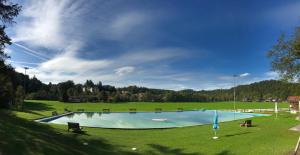 a large swimming pool in a grassy field at Pure Nature Munich - Alps in Fischbachau