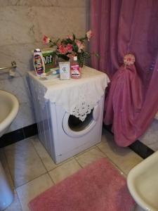 Licciana NardiにあるCasa Al Castelloのバスルーム(洗濯機、花のテーブル付)