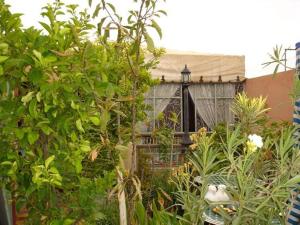 Zahrada ubytování Riad Hôtel Belleville Marrakech