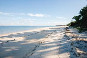 トロイアにあるLoving Tróiaの砂浜と水面の足跡がある海岸