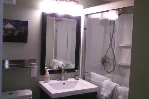 uma casa de banho com um lavatório e um chuveiro com um espelho. em Boutique Style Apartment in the heart of SE em Portland