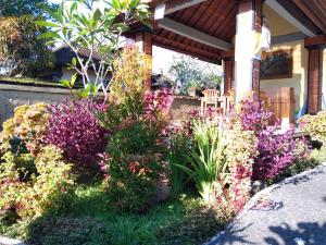 Zahrada ubytování Omank Agus Homestay